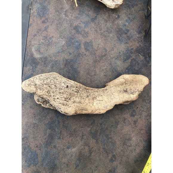 Natural Driftwood for Plants Terrarium Taxidermy Art Projects - Picture 3 of 6